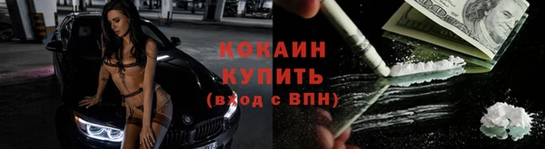 гидропоника Белокуриха