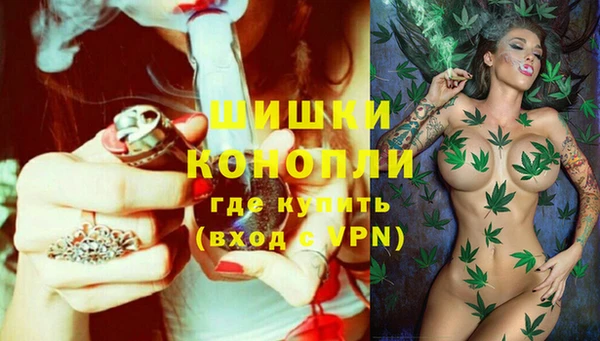 гидропоника Белокуриха