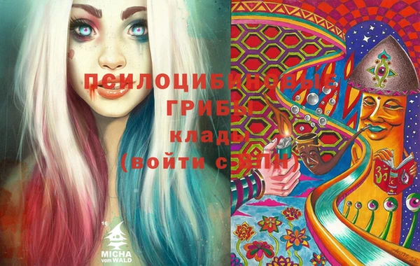 гидропоника Белокуриха