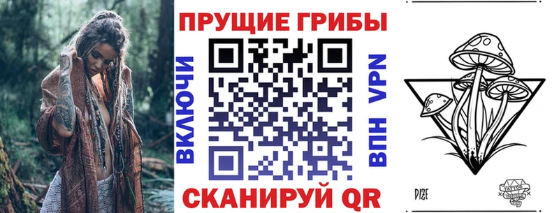 Псилоцибиновые грибы Psilocybe  купить наркотик  Светогорск 
