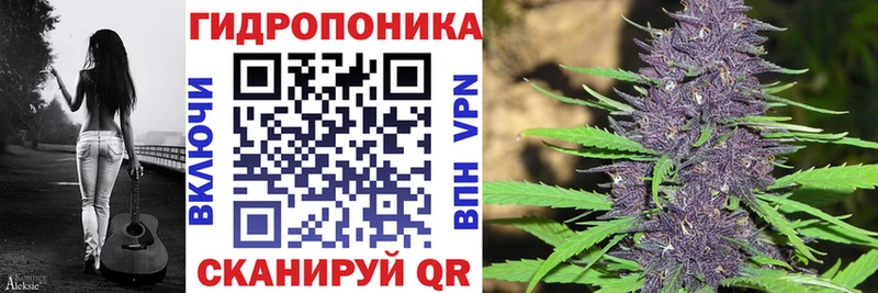 даркнет сайт  Светогорск  МАРИХУАНА конопля 